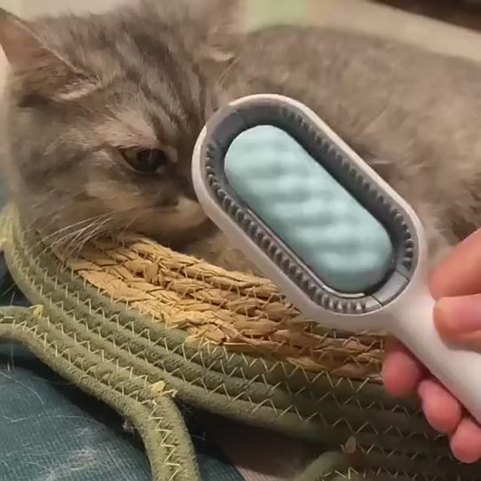 Cat Hair Brush With Water, Sticky Brush For Cats, 4 In-1 Cat Grooming Brush Creative Update Cat Dog Grooming Comb With Water Tank Double-Sided Hair Removal Brush Kitten Pet Supplies Accessories